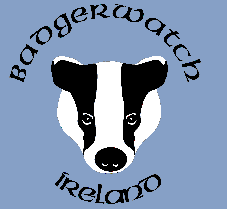 Badgerwatch Ireland