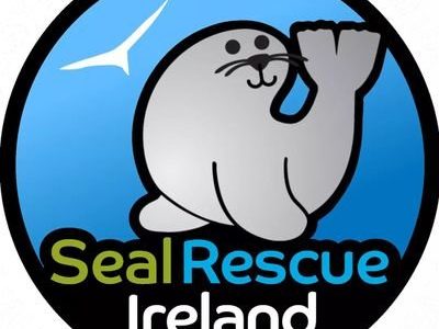 seal rescue Ireland