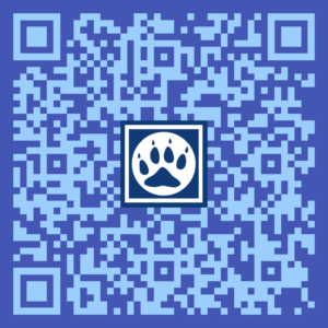 QR Android